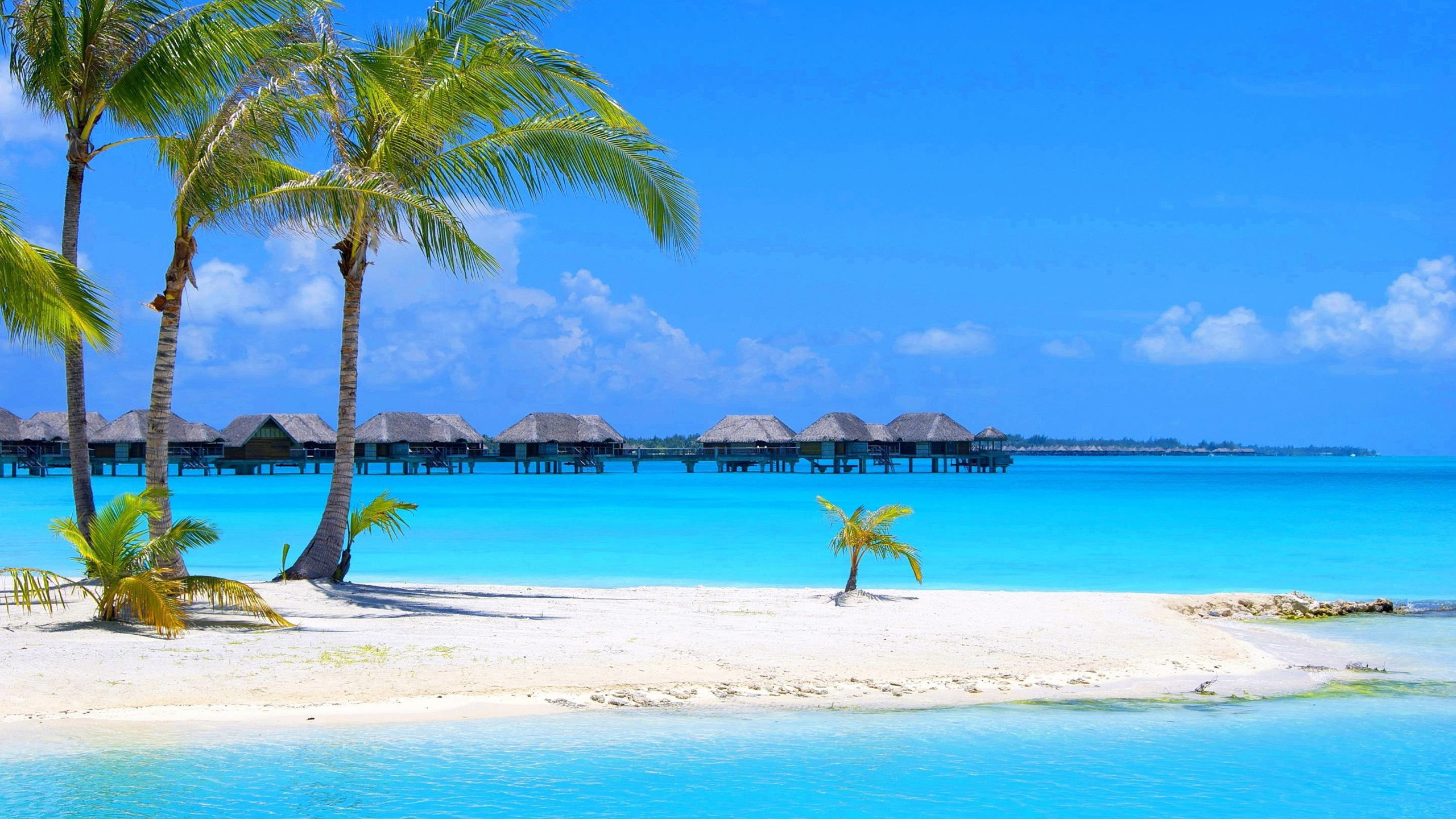 beautiful_beach_view_huts_on_ocean_water_short_palm_trees_on_white_sand_hd_beach